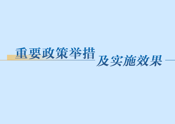 重要政策舉措及實施效果